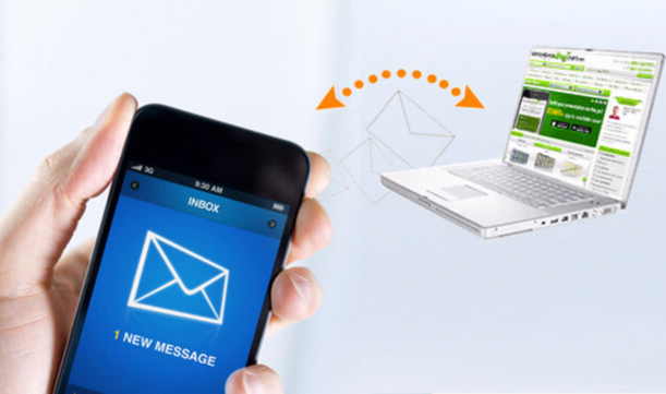 Receive SMS Websites
